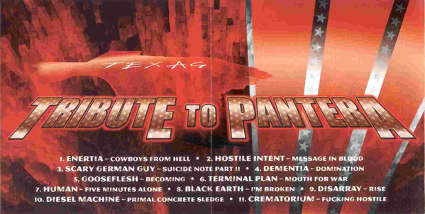 Album herunterladen Various - Southern Death Tribute To Pantera
