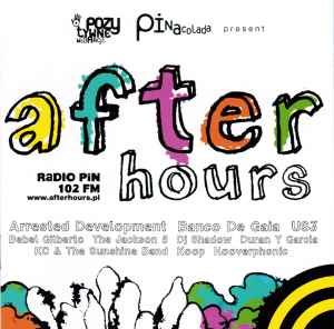 Various - After Hours Vol.1 Radio PiN 102 FM album cover