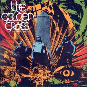 The Golden Grass - Life Is Much Stranger album cover