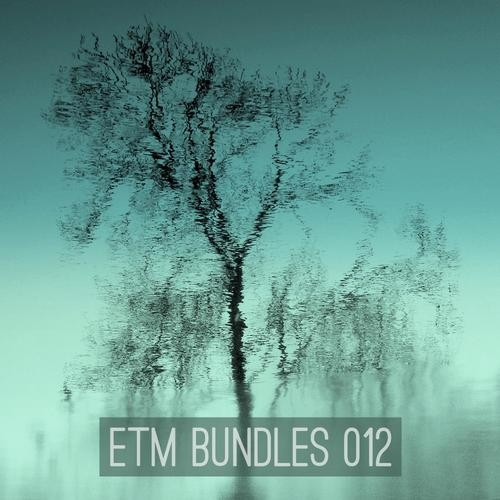 ladda ner album Various - ETM Bundles 012