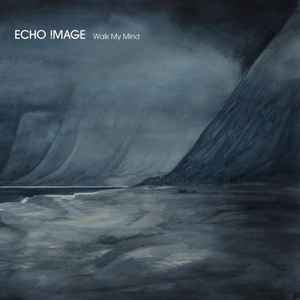 Echo Image - Walk My Mind album cover