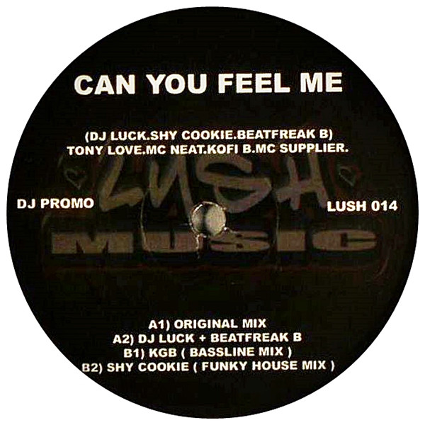 ladda ner album DJ Luck, Shy Cookie & Beatfreak B Feat Tony Love , MC Neat, Kofi B & MC Supplier - Can You Feel Me