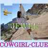 Cowgirl Clue - Jewel