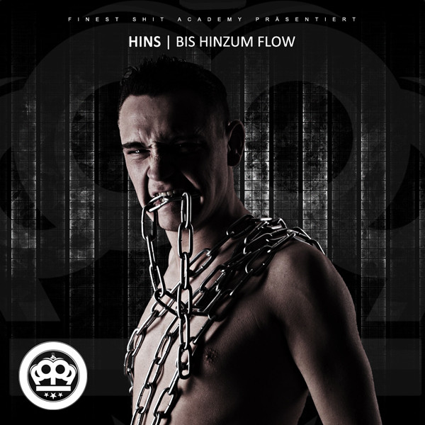 baixar álbum Hins - Bis HinZum Flow
