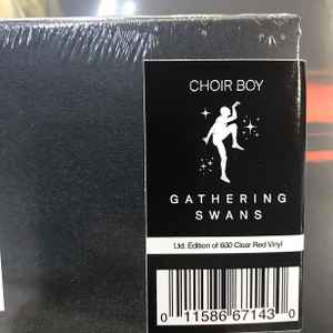 Choir Boy – Passive With Desire (2021, Banana Opaque, Vinyl) - Discogs