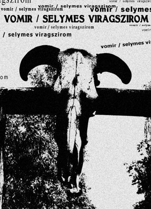 lataa albumi Vomir Selymes Viragszirom - Split