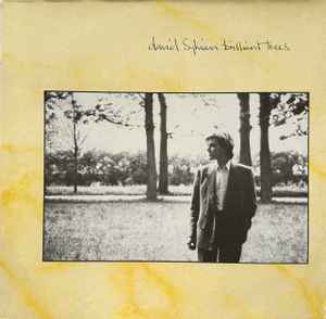 David Sylvian - Brilliant Trees album cover