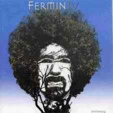 Fermin IV - Boomerang album cover