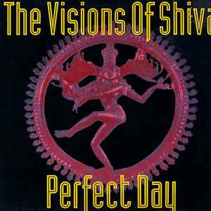 The Visions Of Shiva - Perfect Day