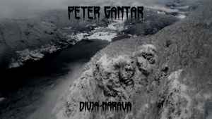 Peter Gantar - Divja Narava album cover