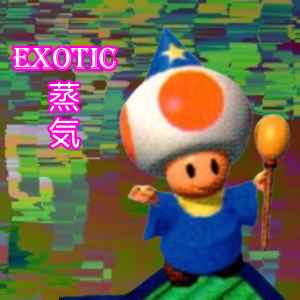 EXOTIC蒸気 on Discogs