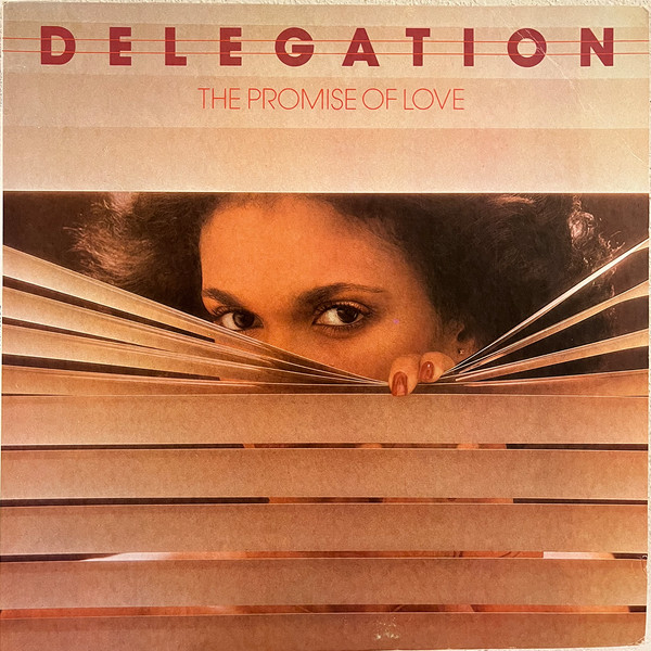Delegation – The Promise Of Love (1977, GRT Record Pressing