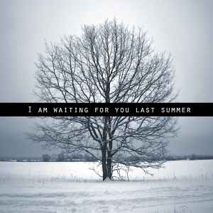 I Am Waiting For You Last Summer - I Am Waiting For You Last Summer album cover