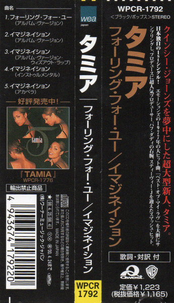 Tamia - Falling For You (200X Remix) - レコード針