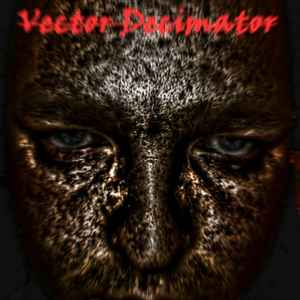 Vector Decimator