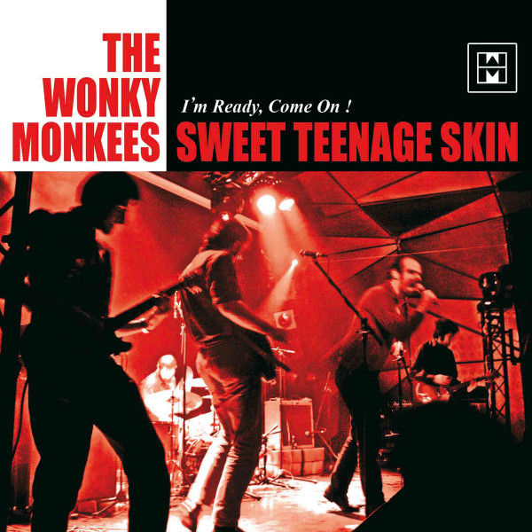 descargar álbum The Wonky Monkees - Sweet Teenage Skin Im Ready Come On
