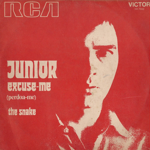 💜 Júnior- Excuse me (TRADUÇÃO) 1974 
