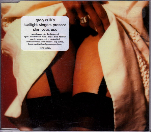 The Twilight Singers – She Loves You (2004, CD) - Discogs