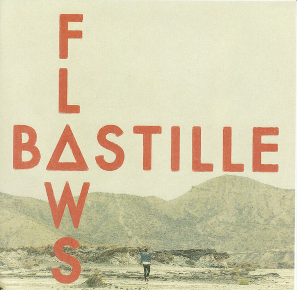 bastille flaws バスティル レコード オルタネイティブ - レコード