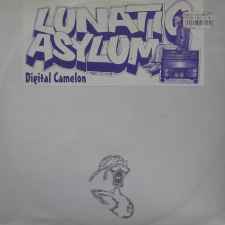 Digital Cameleon - Lunatic Asylum