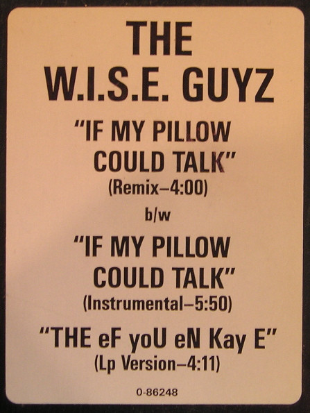 The W.I.S.E. Guyz – If My Pillow Could Talk