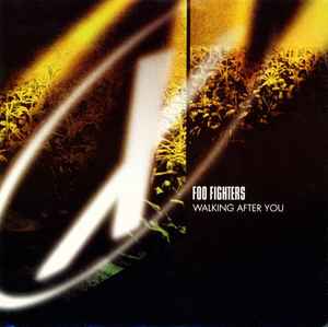 Foo Fighters My Hero# Black & Gold Vinyl Record Song Lyric Print