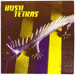 Bush Tetras - Too Many Creeps album cover
