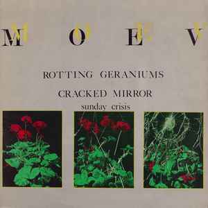 Rotting Geraniums - Moev