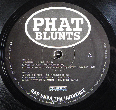 Phat Blunts - Rap Unda Tha Influence (1996, Vinyl) - Discogs