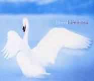 Libera – Luminosa (2001, CD) - Discogs