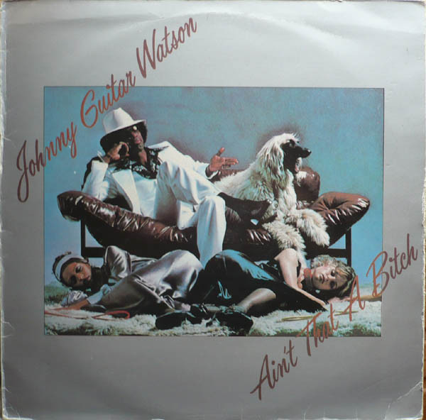 Johnny Guitar Watson – Ain't That A Bitch (1976, Vinyl) - Discogs