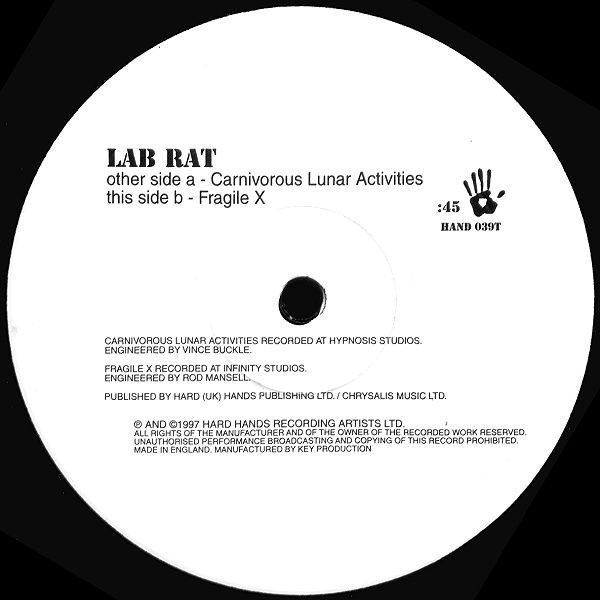 ladda ner album Lab Rat - Carnivorous Lunar Activities