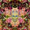 Shpongle - Carnival Of Peculiarities