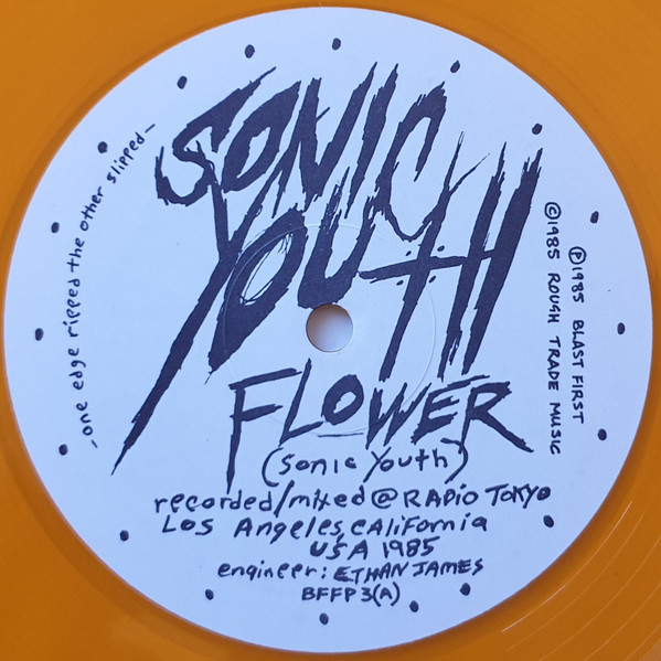 Album herunterladen Sonic Youth - Flower Halloween
