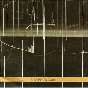 Raz Mesinai - Before The Law album cover