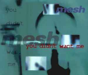 Mesh (2) - You Didn't Want Me