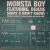 Monsta Boy Featuring Denzie - Sorry (I Didn't Know)