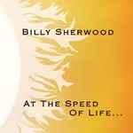 Cover of At The Speed Of Life..., 2008, CD
