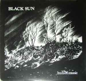 The Orchestra Noir - Black Sun