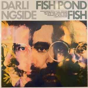 Darlingside - Fish Pond Fish album cover