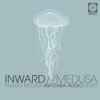Inward (3) - Medusa