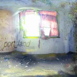 swiʌelized souηds - port_land album cover