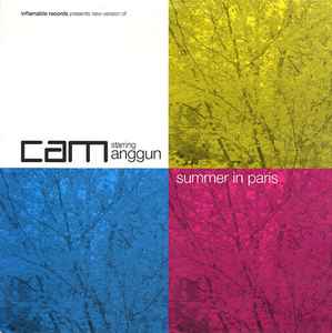 DJ Cam - Summer In Paris album cover