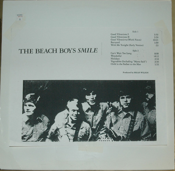 Brian Wilson Vinyl Decal Classic Rock Lost Genius Beach Boys 