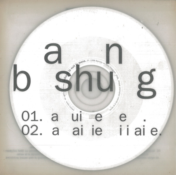 descargar álbum Alain Bashung - La Nuit Je Mens