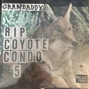 Grandaddy – Sumday Twunny (2023, Vinyl) - Discogs