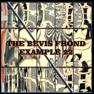 Example 22 - The Bevis Frond