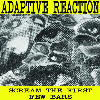 ladda ner album Adaptive Reaction - Scream The First Few Bars
