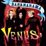 Cover of Venus, 1986, Vinyl