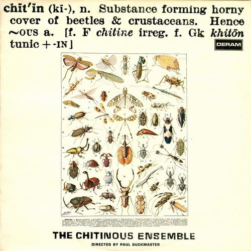 The Chitinous Ensemble – Chitinous (1971, Vinyl) - Discogs